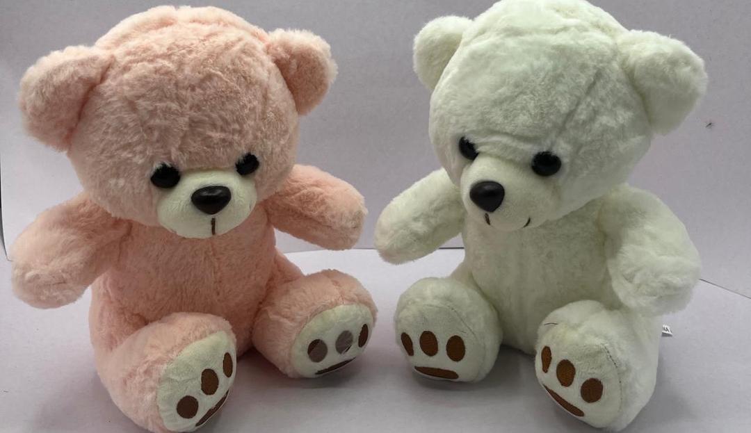 Beautiful  Teddy Bear |For Kids