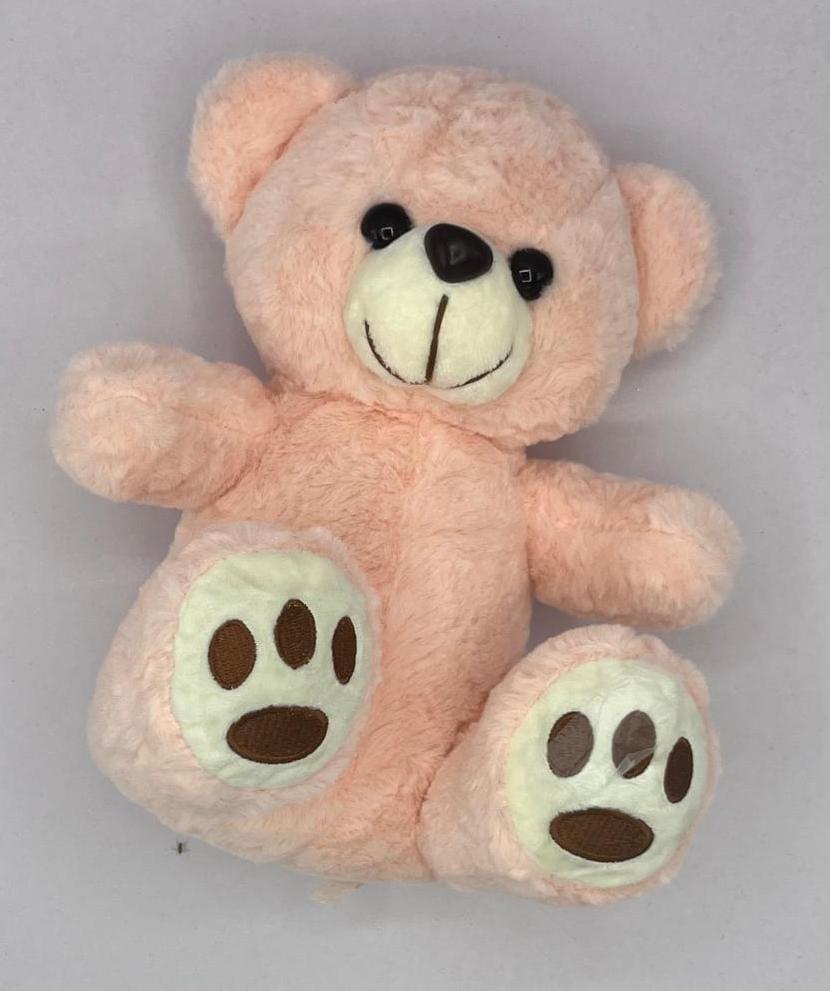 Beautiful  Teddy Bear |For Kids