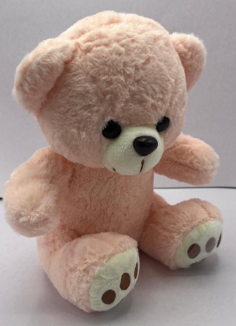 Beautiful  Teddy Bear |For Kids